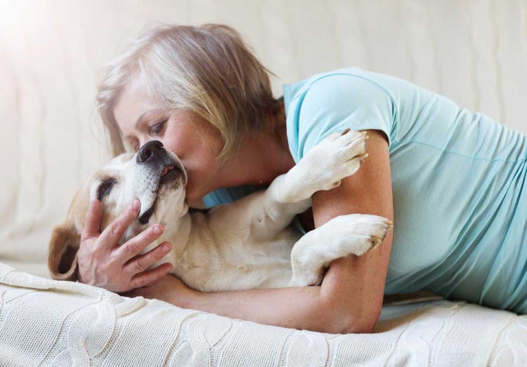 Pain Management for dogs and cats at Liberty Animal Hospital, South Salem