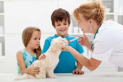 Two children holding a small white dog while a veterinarian gives a vaccine